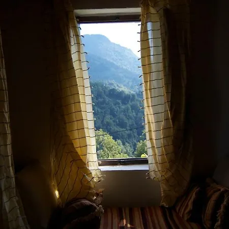 Maison De Charme Corse Sauvage Hébergement de vacances Pietra-di-Verde